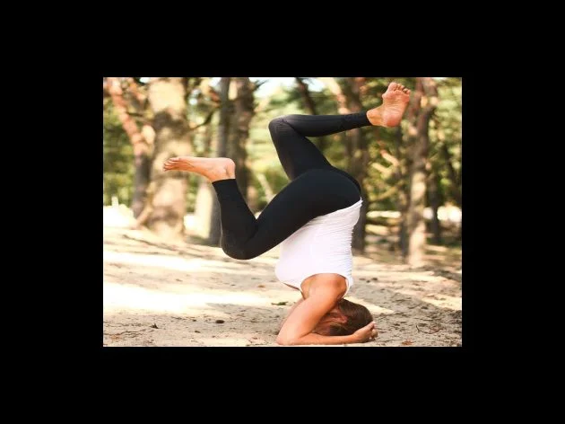 중기부 소상공인 지원금 히스토리