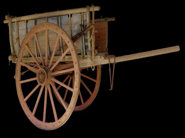 요양병원과 요양원의 인력 구성 차이