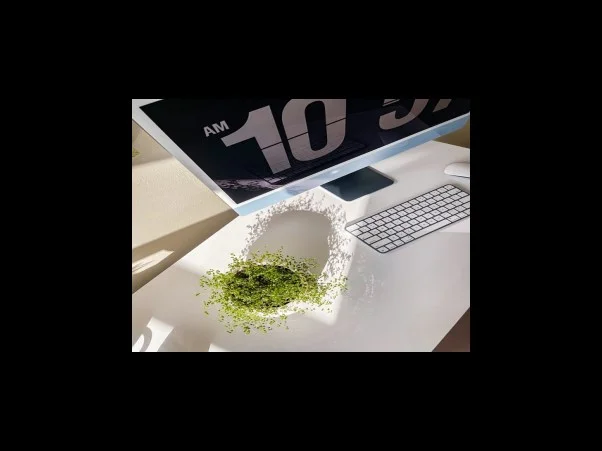 1 유방암의 위험 요인