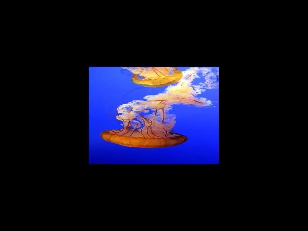 다올저축은행 Fi비상금 대출