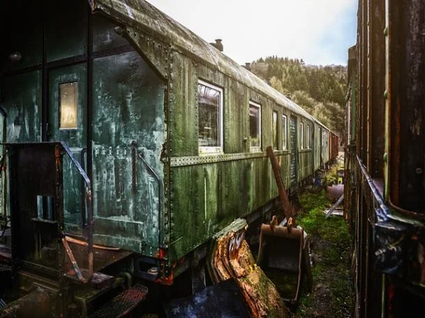 신생아 취득세 감면 신청 기간 확인