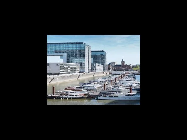 기술적차트 분석