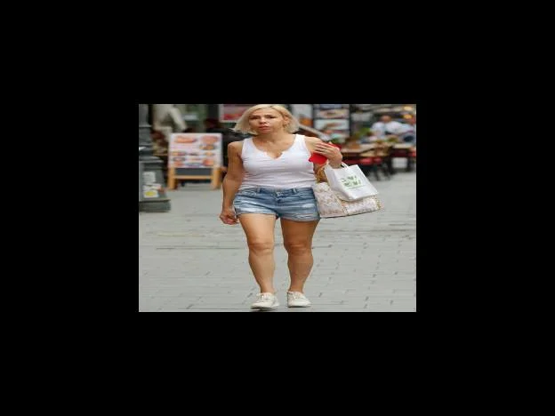 건설기술인 등급