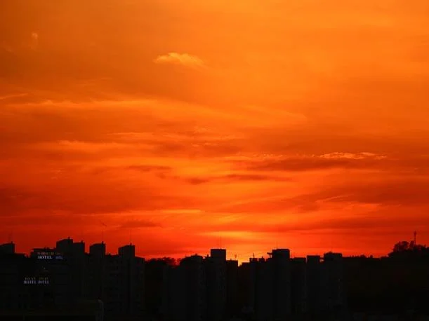 고수익은 원하지만 손실은 싫어요.