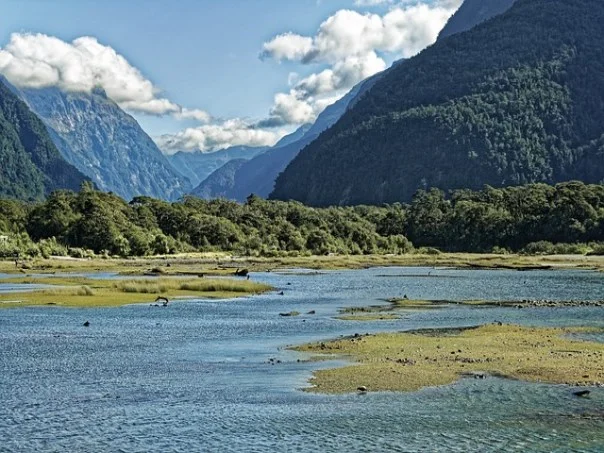 필리프 트루시에 감독 108경기 무패
