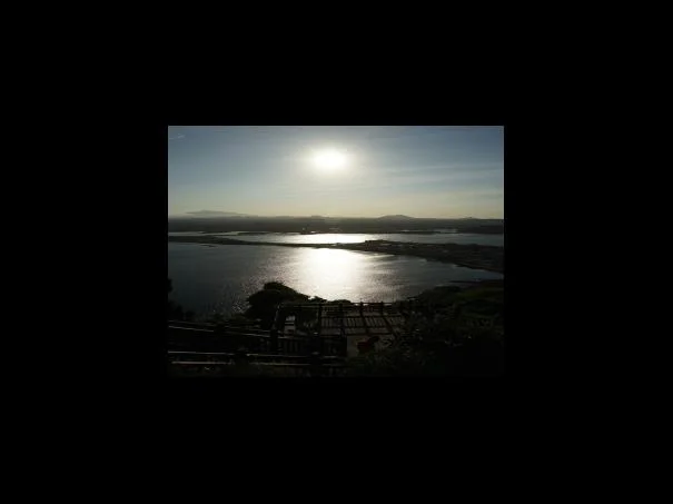 2023학년도 의학과 면접문항