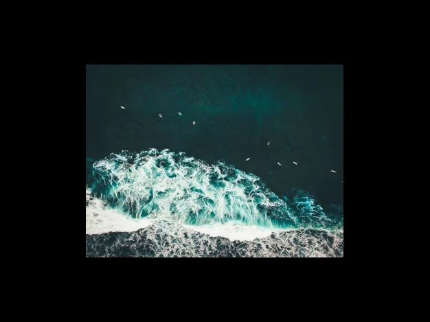 사직서 작성 항목