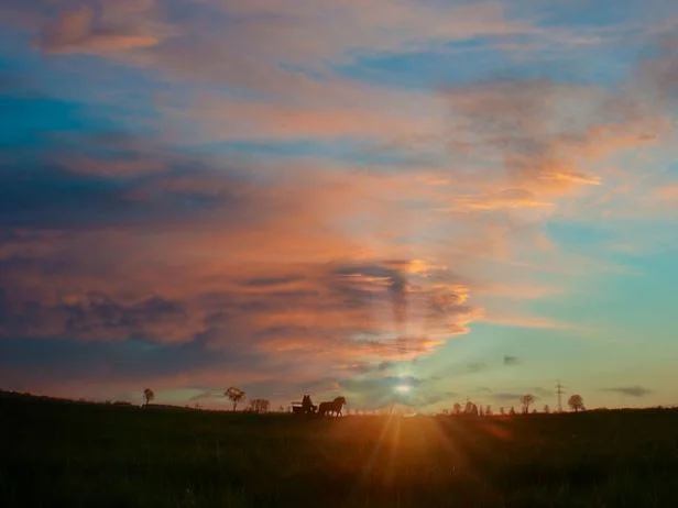 손해사정실사례