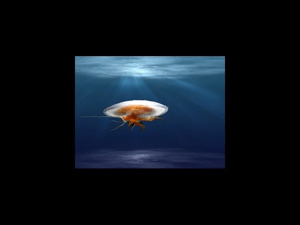 국회 방문한 낸시 펠로시 미국 하원의장