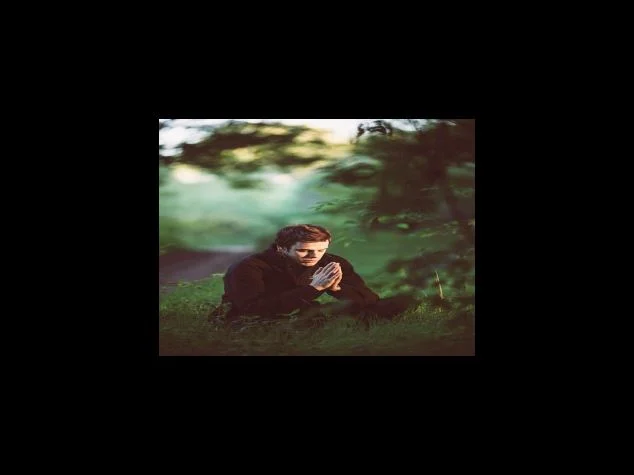 면역 기능 강화