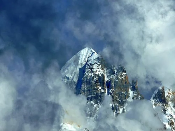 에이프릴바이오 공모 청약 경쟁률