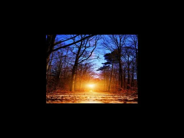 NVD1000 오메가 3 부작용