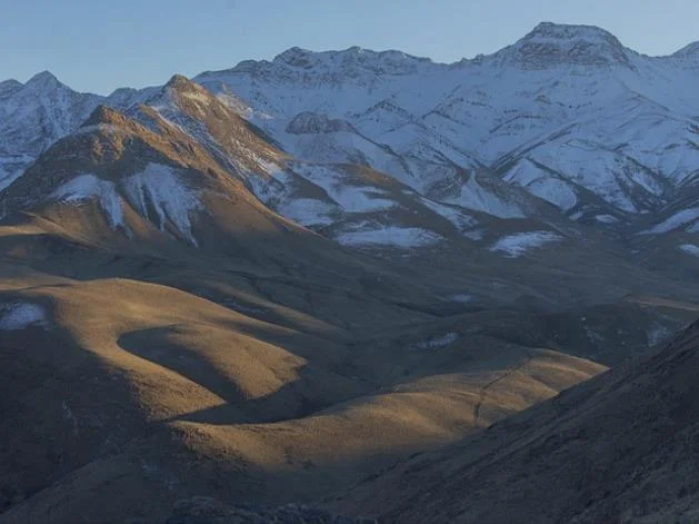 노로바이러스 장염에 나쁜 음식