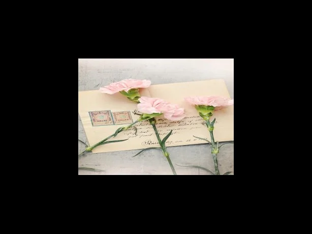 서세종농협 주머니적금 가입방법