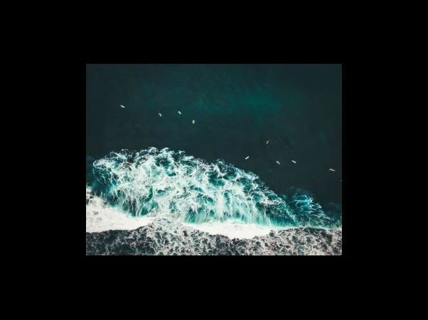 레저와 여가 활동