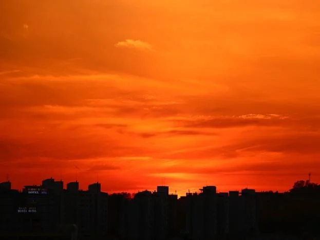 가족요양제도의 조건