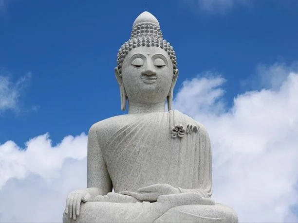 강아지 변 색깔로 보는 건강 상태