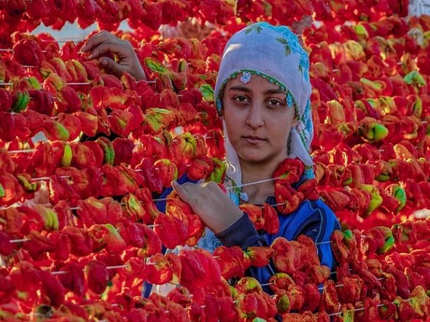 본인부담상한액 기준
