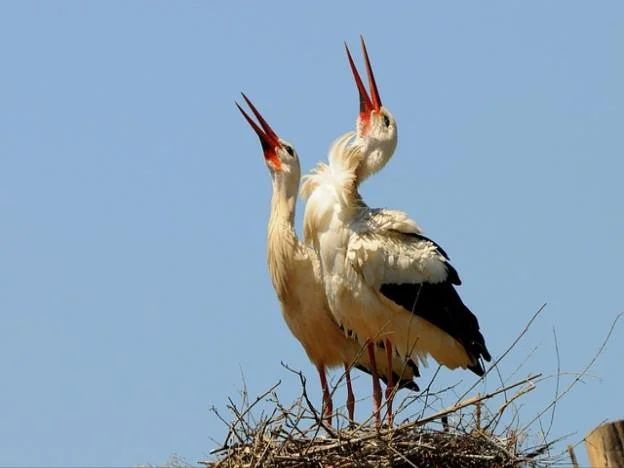 제주투어패스의 장점