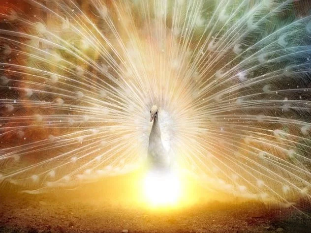 에어프라이어 소고기 스테이크 레시피