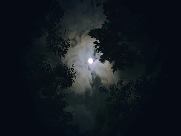 공황장애 합병증