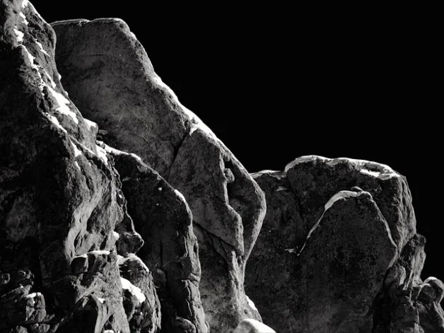 생강을 활용한 음료