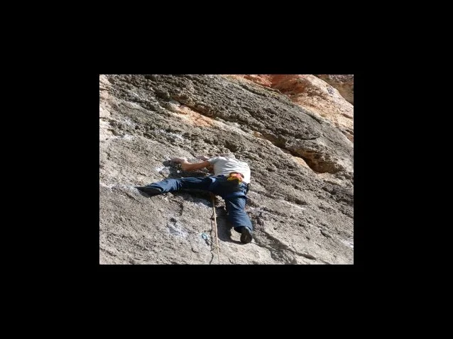 연말정산 교육비공제 항목