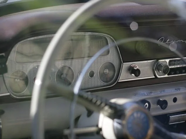 헤르페스 2형 완치될까?