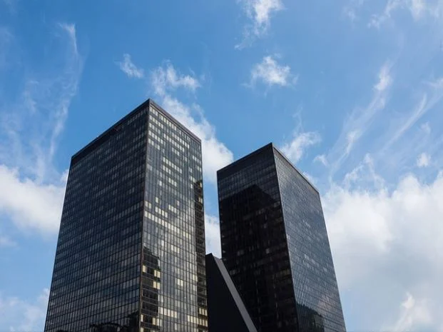 2024년띠 청룡의 해