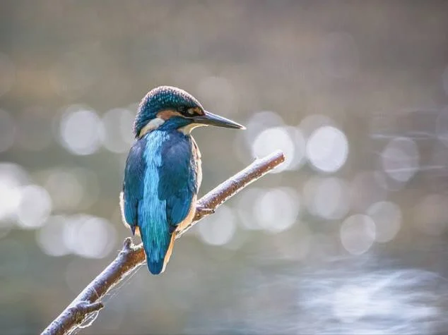 휴게시간 이란?