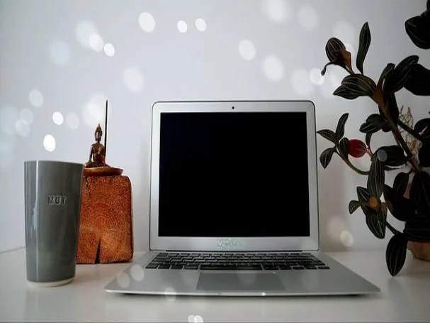 운전면허증 갱신적성검사 면허갱신 준비물, 온라인 신청