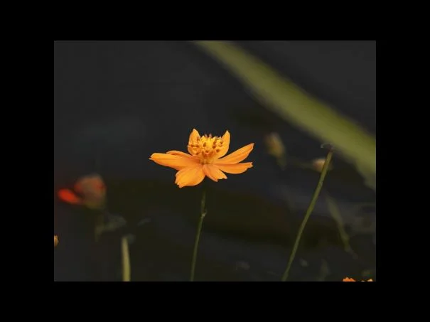 온라인 신청방법