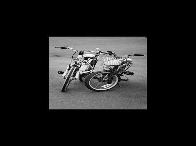 오프라인 매장 구매