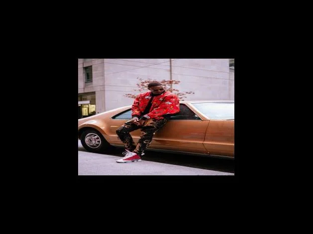 진화의 섬에서 체감하는 경이