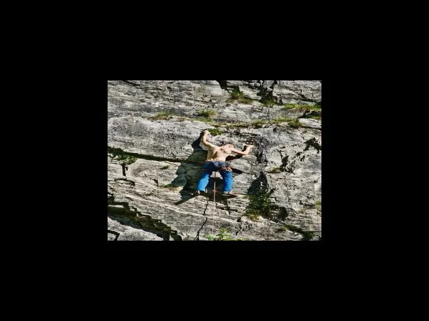 다급한 상태에서 신고요령