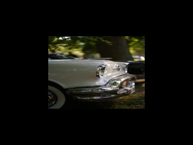 향후 비전 및 진로