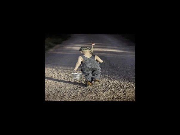 소방사 공채 남자 선발 인원 및 경쟁률