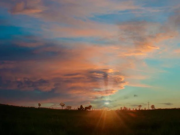 방풍나물전 만들기