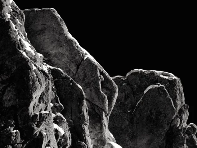 공공임대주택 공간 조건