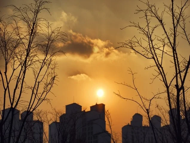 합의 구체적 내용