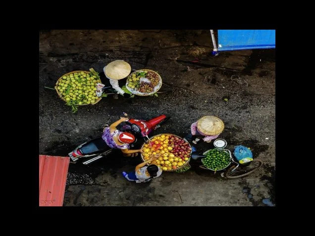 탄원서의 구성내용 및 작성요령