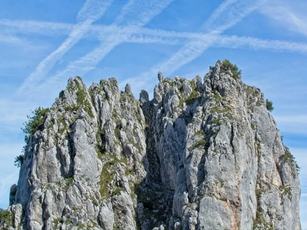 더치트로 사기꾼 정보, 공짜로 확인하세요