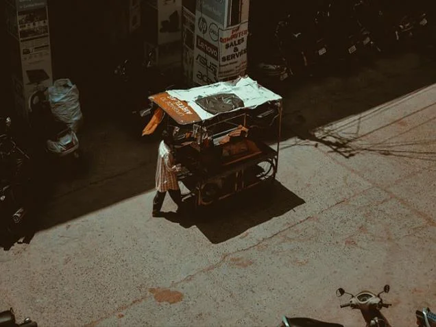 입양 이후에는요?